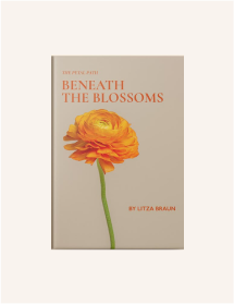 Book 6
